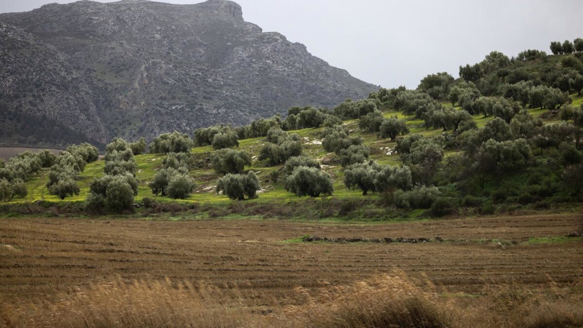 La Diputación refuerza su apoyo a la industria agroalimentaria con ayudas de más de 5,4 millones de euros