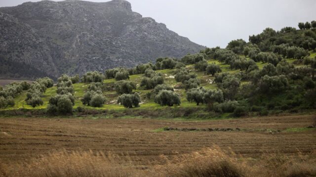 La Diputación refuerza su apoyo a la industria agroalimentaria con ayudas de más de 5,4 millones de euros