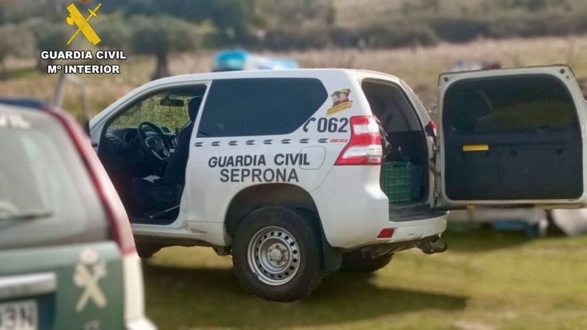 La Guardia Civil rescata una cabra montesa atrapada en una balsa de riego en Cártama