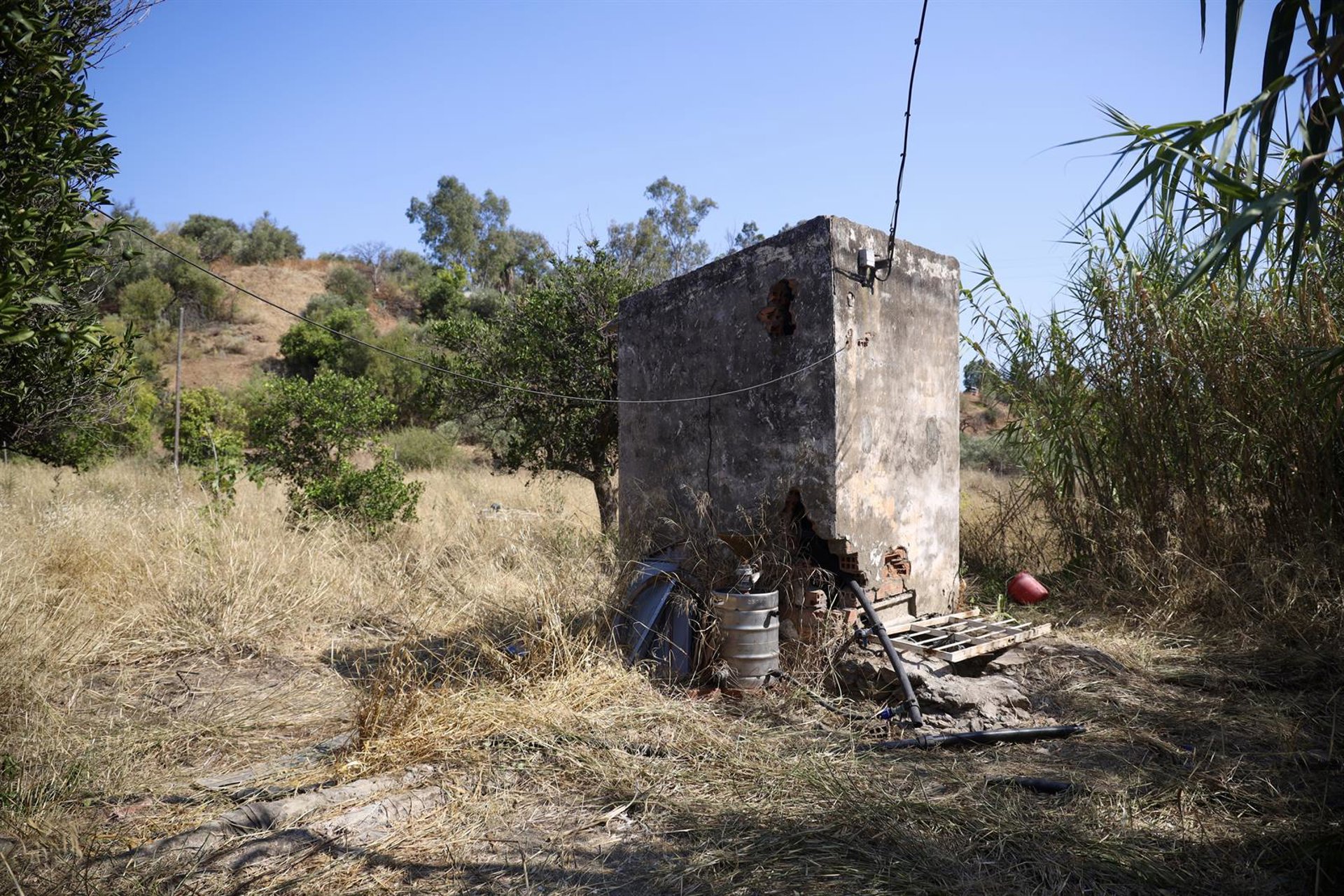 La pareja de la mujer hallada en un pozo señaló el lugar donde estaba el cuerpo, según Fernández