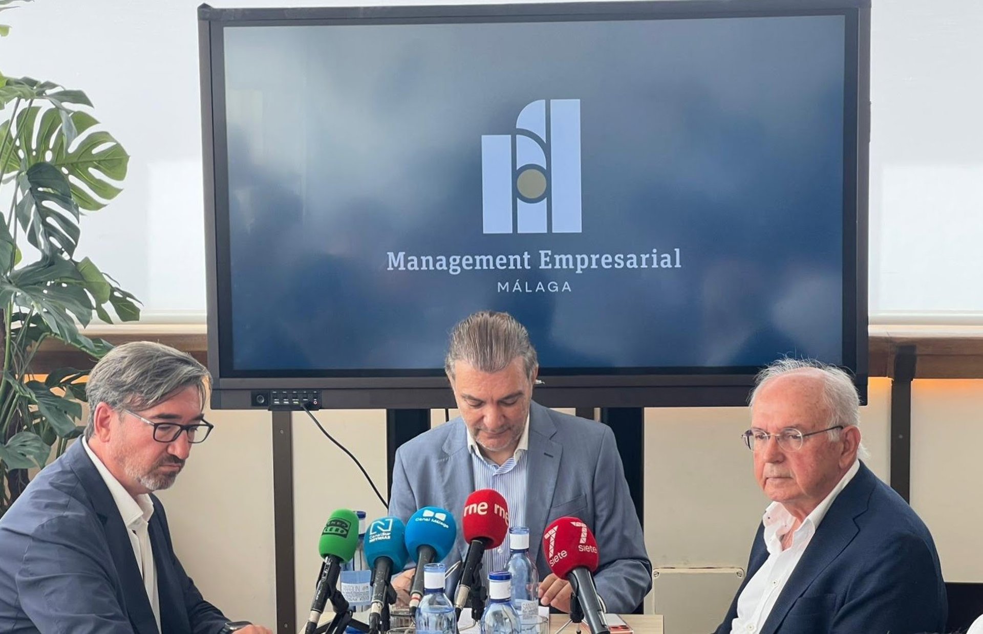 MEM inicia venta de activos hoteleros para impulsar proyecto de hasta 600 millones para el Málaga CF