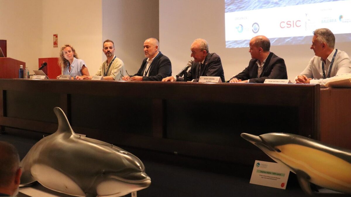 Málaga reúne a la comunidad científica dedicada al estudio de cetáceos y las tortugas marinas y sus hábitats