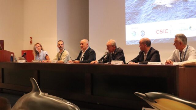 Málaga reúne a la comunidad científica dedicada al estudio de cetáceos y las tortugas marinas y sus hábitats