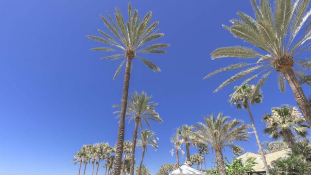 Marbella alcanza en agosto los 5.688 trabajadores hoteleros, un 28,3% más, y eleva ocupación al 84,6%