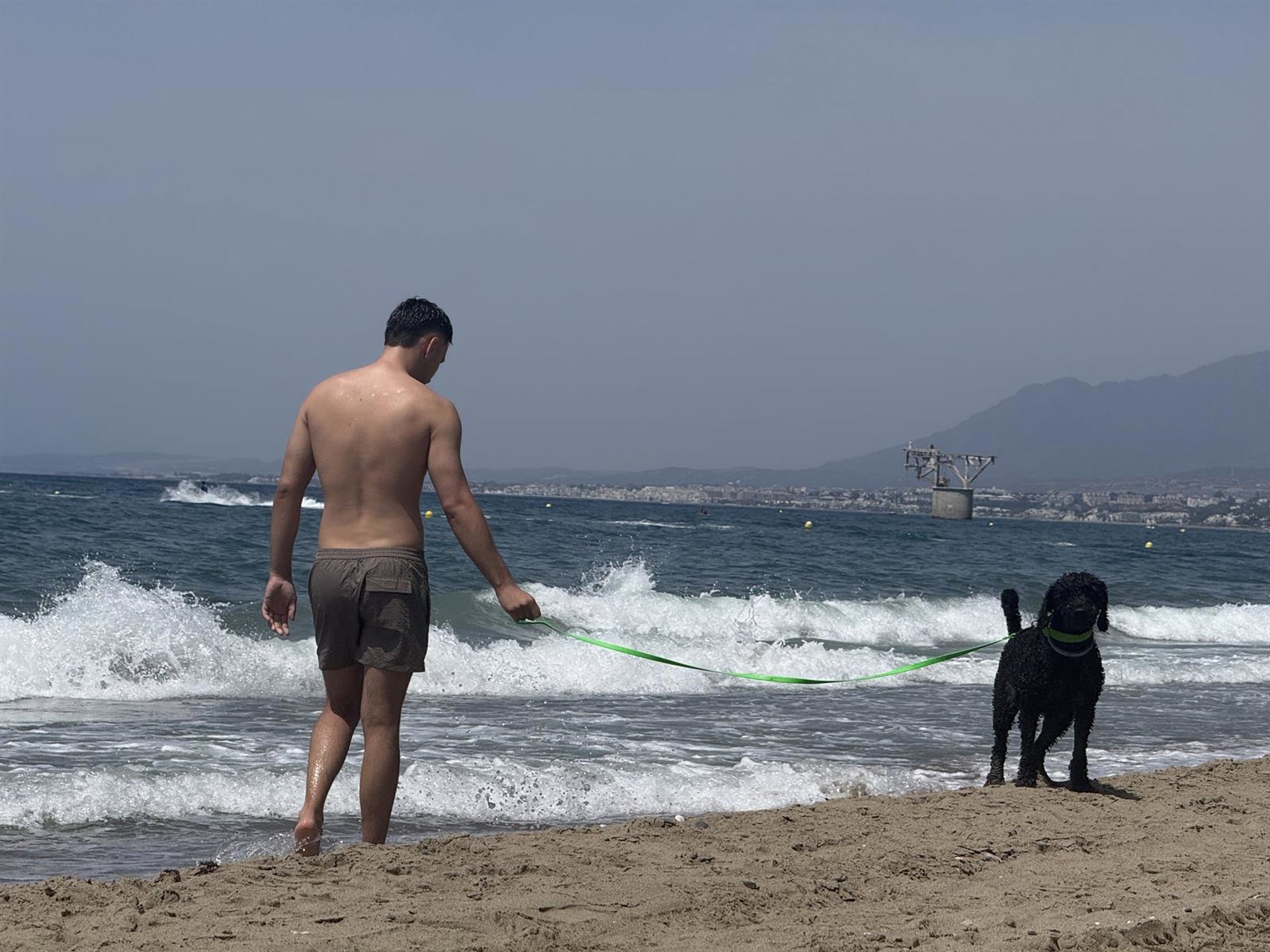 Marbella mantiene espacios habilitados para disfrutar de la playa con mascotas durante la temporada de baño