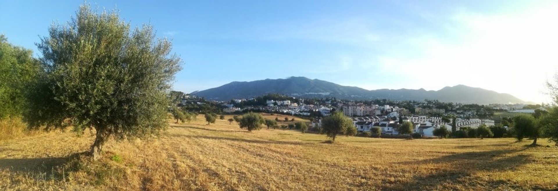 Mijas insta a los dueños de parcelas privadas a limpiar y desbrozar para evitar incendios y proteger el entorno