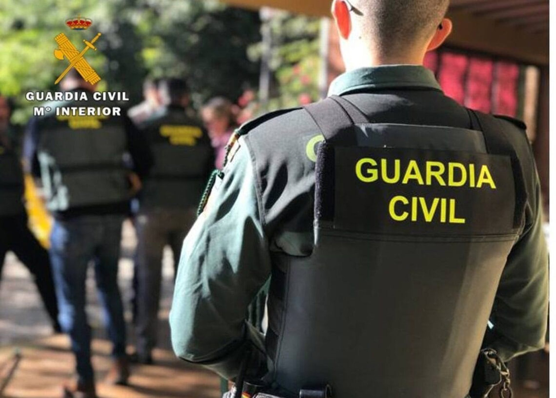 Nueve detenidos tras caer una organización criminal que enviaba droga desde Málaga a países de Europa