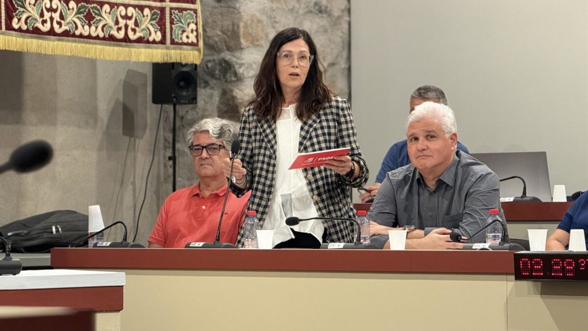 PSOE Marbella advierte de que "la gestión municipal no puede anular las posibilidades" del PGOM