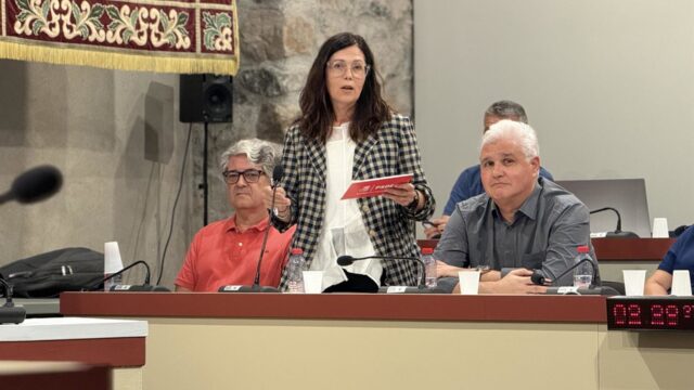PSOE Marbella advierte de que "la gestión municipal no puede anular las posibilidades" del PGOM