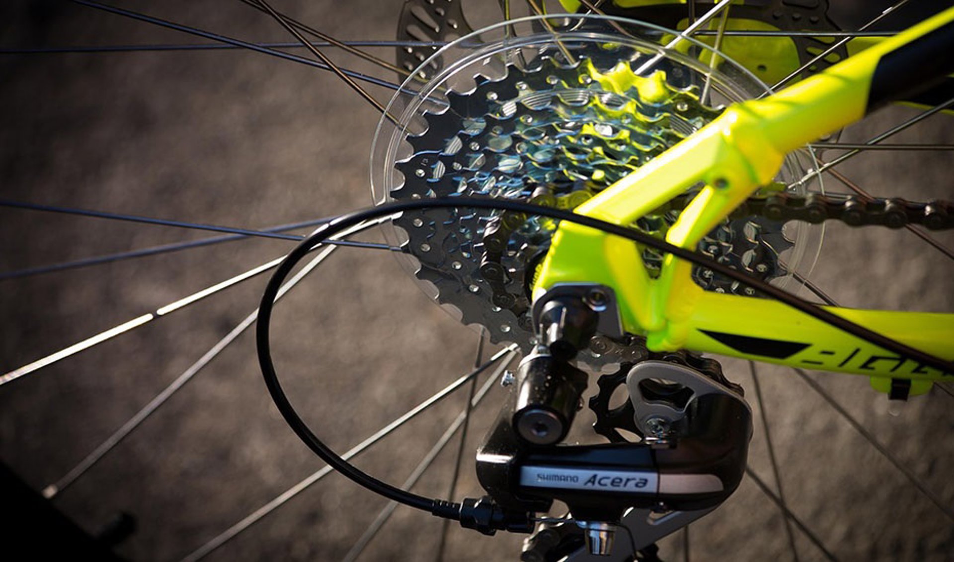 Publicada la consulta previa a la tramitación del reglamento del servicio público de bicicletas de Málaga