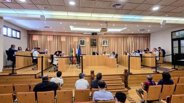 Vélez-Málaga adoptará un plan para reforzar la detección y seguimiento del avispón oriental