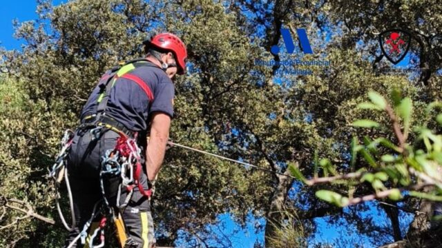Bomberos rescatan a una oveja caída en una zona rural de Ronda