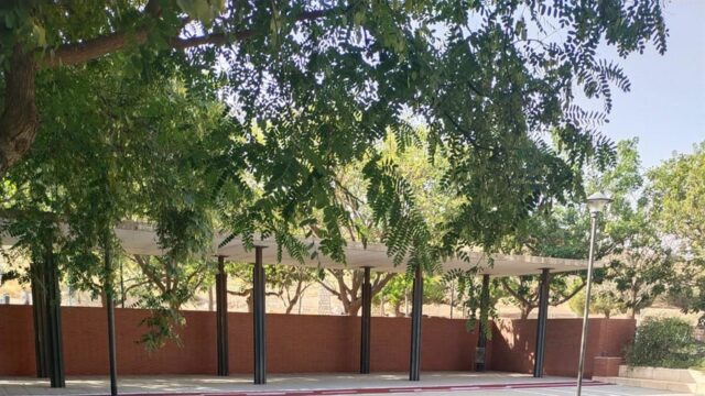 Comienza este jueves la XV campaña de Educación Vial en Palma - Palmilla