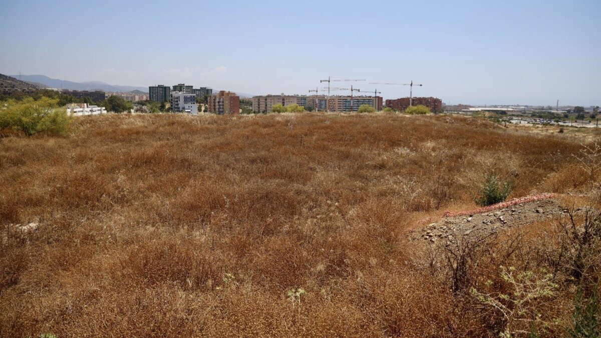 De la Torre recuerda a la Universidad el acuerdo de copropiedad de los terrenos donde irá la Nueva Rosaleda