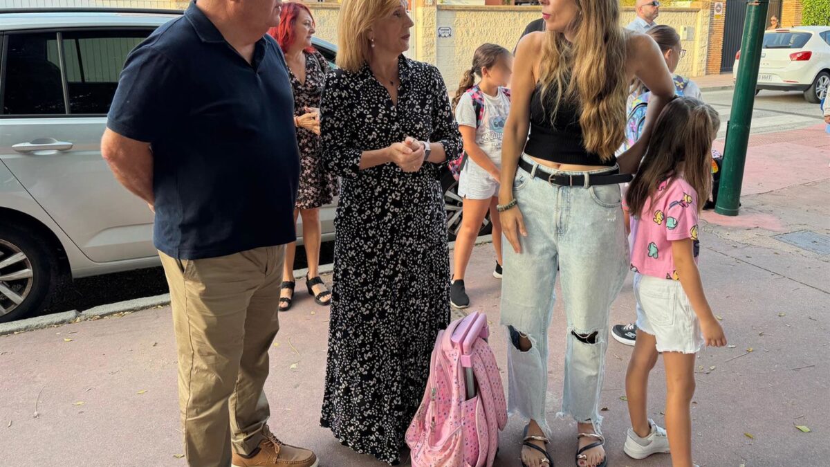 El PSOE exige un "mayor control" ante la presencia de avispas en Guadalmar