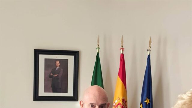 El subdelegado mantiene que la provincia de Málaga es "muy segura" pese a la complejidad