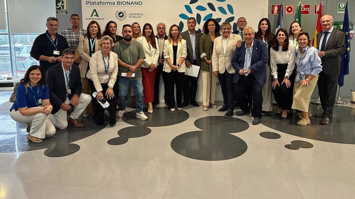 Ibima consolida su crecimiento en 2025 con 1.550 estudios clínicos y 37 millones de euros en investigación