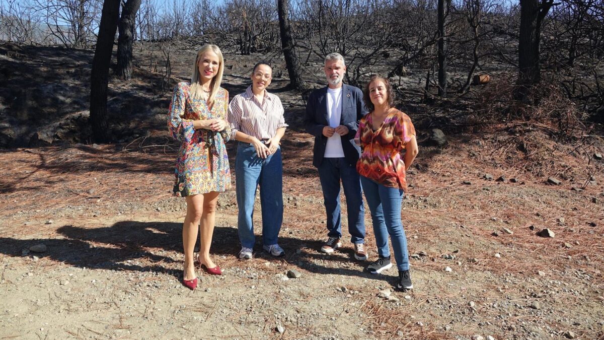 PSOE afea a la Junta "no haber tramitado" la documentación para construir dos centros educativos en Benahavís