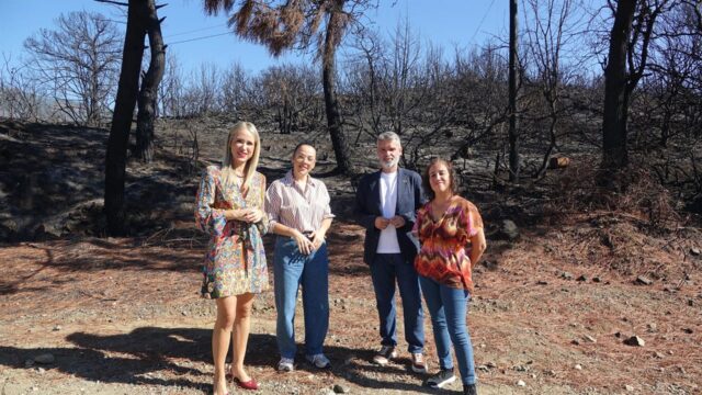 PSOE afea a la Junta "no haber tramitado" la documentación para construir dos centros educativos en Benahavís