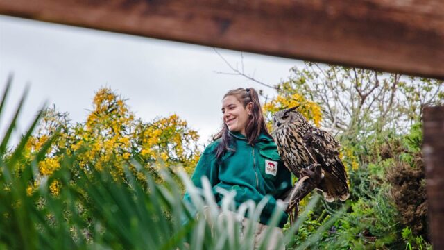 Selwo Aventura y Selwo Marina conmemoran el Día Mundial de las Aves Migratorias