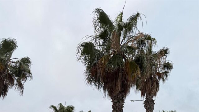 Vox registra una moción en la Diputación para instar al Ayuntamiento de Málaga a devolver las multas por la ZBE